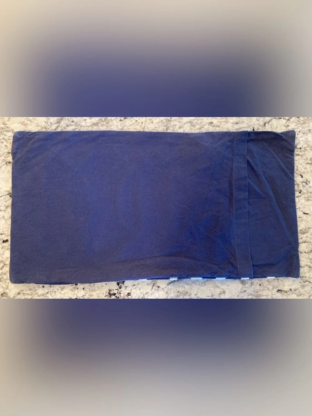 Pottery Barn Cotton Pillow Cover